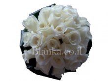 white roses