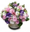 flowers box eustoma (Lisianthus)