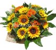 SunFlowers with Chrysanthemums Blanka-1