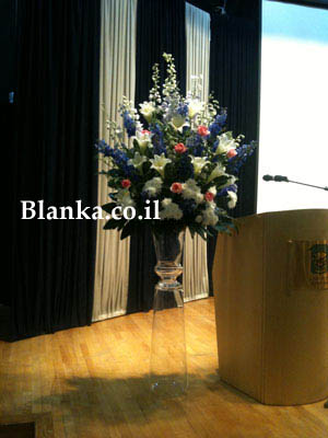 Цветы на сцену 5 - ₪0 : Цветочный магазин Blanka, Доставка цветов по Израилю